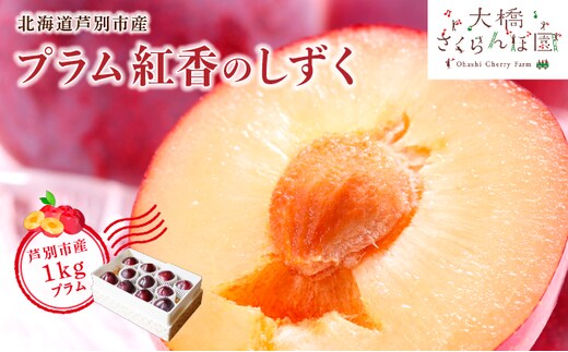 【 先行受付 】プラム 紅香のしずく 1kg 北海道産 すもも フルーツ 果物 旬のフルーツ 旬の果物 くだもの 北海道 芦別市