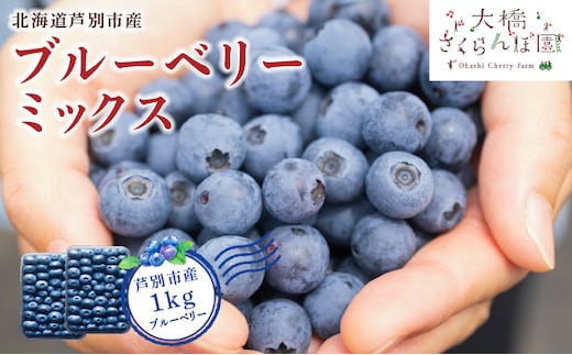 【 先行受付 】ブルーベリー ミックス 1kg 冷蔵 果物 くだもの フルーツ 旬の果物 旬のフルーツ 8品種 ミックスブルーベリー 大粒 小粒 北海道 芦別市