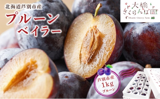 【 先行受付 】プルーン ベイラー 1kg 生 フルーツ 果物 旬のフルーツ 旬の果物 くだもの 北海道 芦別市