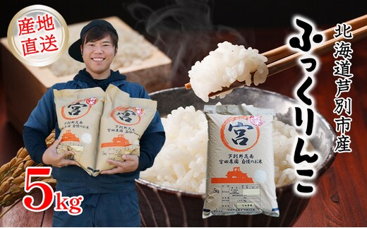 米 令和7年産 ふっくりんこ 5kg 宮田農園 北海道 令和7年産 新米 お米 5キロ ご飯 白米 精米 北海道米 産地直送 送料無料 芦別市 こめ おこめ コメ ごはん 2025年 2025 令和7年