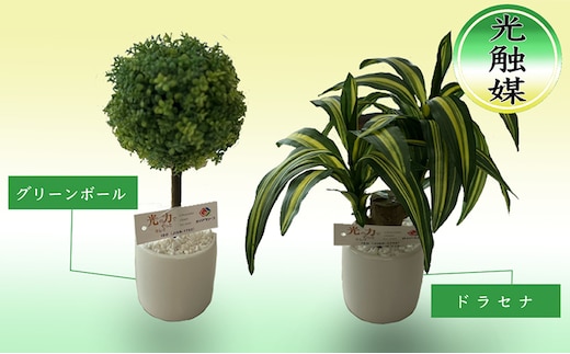 光触媒 造花 約25cm ×2 セット ドラセナ グリーンボール 観葉植物 フェイクグリーン インテリア 置物 空気清浄 人工 観葉 植物 触媒 卓上 ミニ 雑貨 フェイク グリーン 北海道 芦別市