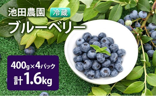 【2026年夏配送】生 ブルーベリー 計1.6kg(400g×4パック) 池田農園 北海道 小分け 新鮮 フルーツ 果物 旬 旬のフルーツ 旬の果物 お取り寄せ 産地直送 朝ごはん デザート おやつ ヨーグルト 冷蔵 芦別市
