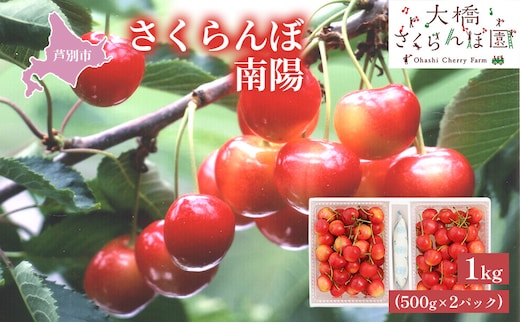 【 先行受付 】さくらんぼ 南陽1kg（500g×2パック）高級 サクランボ 北海道 芦別産 赤 3L 果物類 フルーツ チェリー 