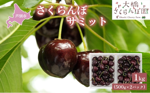 【 先行受付 】さくらんぼ サミット 1kg 500g×2パック 農林水産大臣賞 受賞 サクランボ チェリー 果物 果物類 フルーツ デザート 大粒 肉質 希少 北海道 芦別市