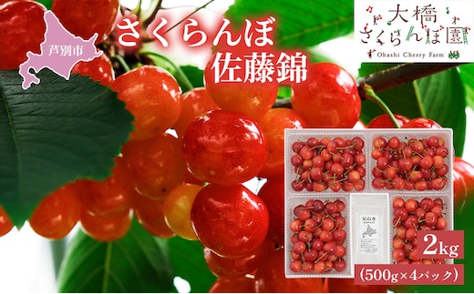 【 先行受付 】さくらんぼ 佐藤錦 2kg 500g×4パック 大橋さくらんぼ園 農林水産大臣賞 受賞 サクランボ チェリー 果物 果物類 フルーツ デザート 有名品種 人気 甘味 上品