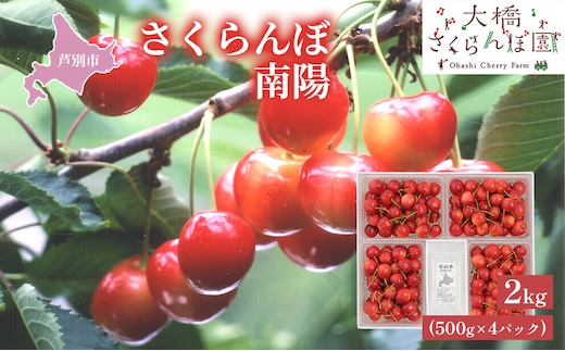 【 先行受付 】さくらんぼ 赤 南陽2kg（500g×4パック）高級 なんよう サクランボ 芦別産 赤 果物類 フルーツ チェリー 