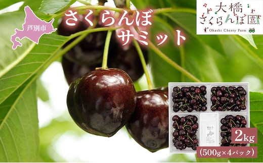 【 先行受付 】さくらんぼ サミット 2kg 500g×4パック 大橋さくらんぼ園 農林水産大臣賞 受賞 サクランボ チェリー 果物 果物類 フルーツ デザート 高級 希少 大粒