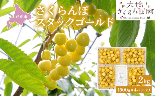 【 先行受付 】さくらんぼ スタックゴールド黄 2kg（500g×4パック）サクランボ 黄 大橋 芦別 希少 大容量 果物類 フルーツ さくらんぼ チェリー 