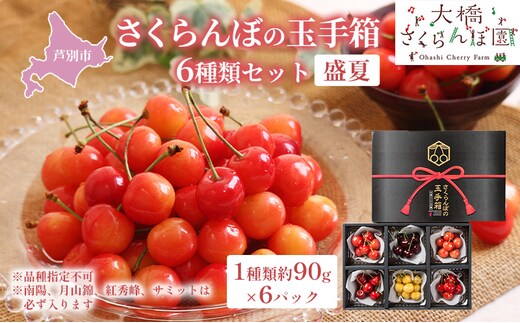 【 先行受付 】さくらんぼ さくらんぼの玉手箱 6種類 セット 詰め合わせ 盛夏 品種指定不可 サミット 月山錦 南陽 紅秀峰 農林水産大臣賞 受賞 サクランボ チェリー 果物 果物類 フルーツ デザート 北海道