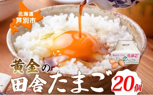 黄金の田舎たまご 20個入り 10個×2 ブランド卵 化粧箱 卵 たまご 高級卵 末永農場 北海道 芦別市 濃厚 ブランド 栄養 オムライス 卵かけごはん 生卵 生たまご 鶏卵 鶏 にわとり 黄金 ふるさと納税 