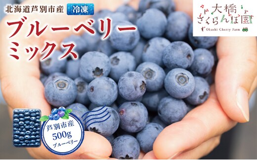 ブルーベリー ミックス 500g 冷凍 果物 くだもの フルーツ 旬の果物 旬のフルーツ ミックスブルーベリー 大粒 小粒 保存 北海道 芦別市
