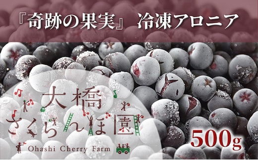 冷凍アロニア 500g 冷凍 アロニア 果物 くだもの フルーツ 旬の果物 旬のフルーツ 大橋さくらんぼ園 果物類 フルーツ デザート 完熟 急速冷凍 新鮮 美味しい 人気 冷凍配送 北海道 芦別市
