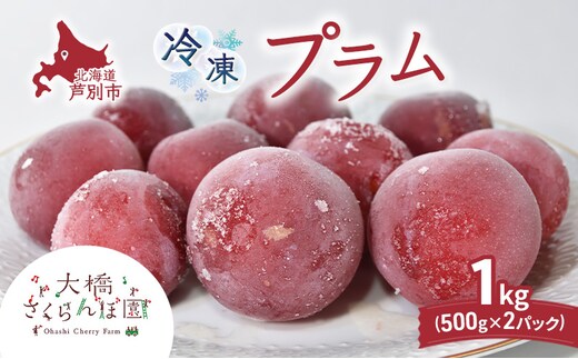 冷凍プラム 500g × 2パック 1kg 冷凍 プラム 果物 くだもの フルーツ 旬の果物 旬のフルーツ 大橋さくらんぼ園 果物類 フルーツ デザート 完熟 急速冷凍 新鮮 美味しい 人気 冷凍配送 北海道 芦別市