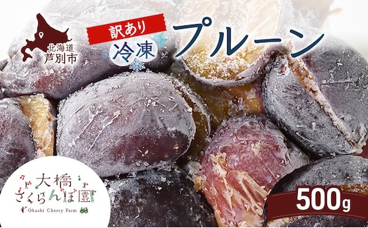 【訳アリ】 冷凍 プルーン 500g 大橋さくらんぼ園 果物 果物類 フルーツ デザート 完熟 急速冷凍 新鮮 美味しい 人気 冷凍配送 北海道 芦別市