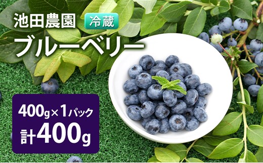 【2027年夏配送】生 ブルーベリー 400g (400g×1パック) 池田農園 北海道 小分け 新鮮 フルーツ 果物 旬 旬のフルーツ 旬の果物 お取り寄せ 産地直送 朝ごはん デザート おやつ ヨーグルト 冷蔵 芦別市