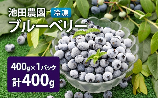 冷凍 ブルーベリー 400g (400g×1パック) 北海道産 フルーツ 果物 旬のフルーツ 旬の果物 くだもの 北海道 芦別市