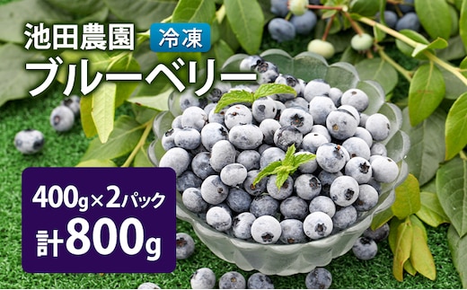冷凍 ブルーベリー 800g (400g×2パック) 北海道産 フルーツ 果物 旬のフルーツ 旬の果物 くだもの 北海道 芦別市