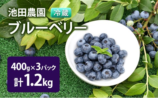 【2027年夏配送】生 ブルーベリー 計1.2kg (400g×3パック) 池田農園 北海道 小分け 新鮮 フルーツ 果物 旬 旬のフルーツ 旬の果物 お取り寄せ 産地直送 朝ごはん デザート おやつ ヨーグルト 冷蔵 芦別市