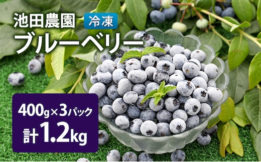 冷凍 ブルーベリー 1.2kg (400g×3パック) 北海道産 フルーツ 果物 旬のフルーツ 旬の果物 くだもの 北海道 芦別市
