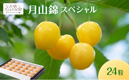 【先行予約】さくらんぼ 月山錦 スペシャル 24粒 化粧箱入 大橋さくらんぼ園 大粒 完熟 フルーツ 果物 さくらんぼの女王 贈答用 ギフト 北海道 芦別市 送料無料