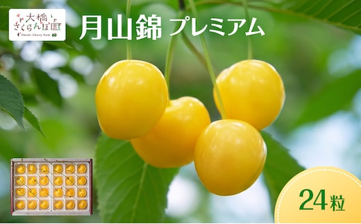 【先行予約】さくらんぼ 月山錦 プレミアム 24粒 最高級 特大粒 農林水産大臣賞受賞 大橋さくらんぼ園 フルーツ 果物 ギフト 贈り物 北海道 芦別市 送料無料