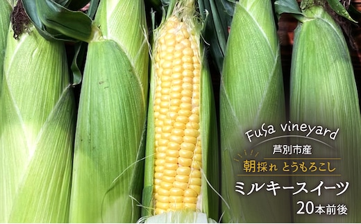 北海道芦別市産 とうもろこし ミルキースイーツ 20本前後 朝採れ 当日出荷 数量限定 生食可 FuSa vineyard 夏野菜