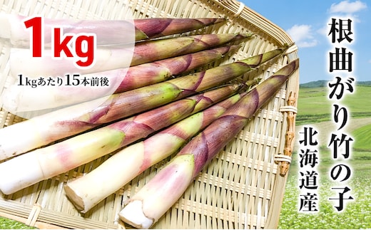 たけのこ 根曲がり竹の子 1kg 15本程度 山菜直売店中野渡 北海道産 竹の子 タケノコ 野菜 山菜 新鮮 味噌汁 春の恵 調理 冷蔵配送 北海道 芦別市