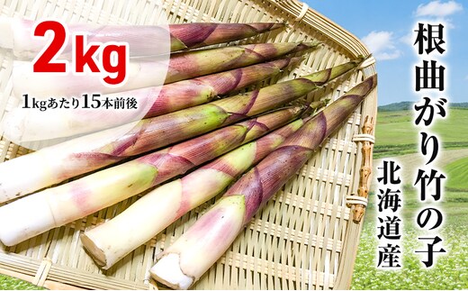 たけのこ 根曲がり竹の子 2kg 1kgあたり15本程度 山菜直売店中野渡 北海道産 竹の子 タケノコ 野菜 山菜 新鮮 味噌汁 春の恵 調理 冷蔵配送 北海道 芦別市