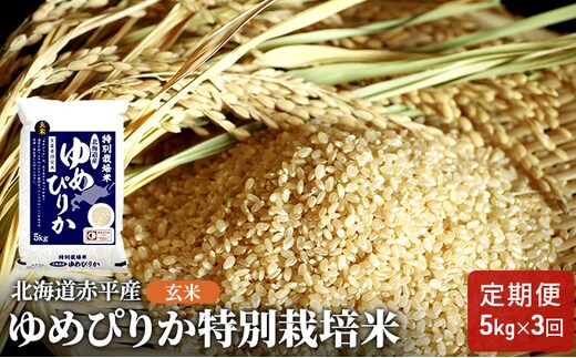 玄米 北海道赤平産 ゆめぴりか 5kg 特別栽培米 【3回お届け】 米 北海道 定期便 お米 ふるさと納税 