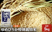 玄米 北海道赤平産 ゆめぴりか 5kg 特別栽培米 米 北海道 お米 ふるさと納税 