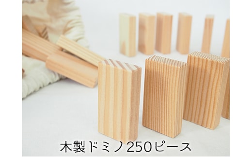ドミノ 木製 おもちゃ こだわりの木材でつくる！ 木製ドミノ 250ピース 工芸品 室内 遊び 玩具 ファミリートイ ゲーム 