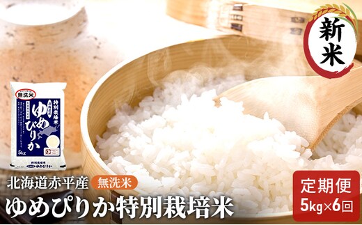 無洗米 北海道赤平産 ゆめぴりか 5kg 特別栽培米 【6回お届け】 米 北海道 定期便 ふるさと納税 