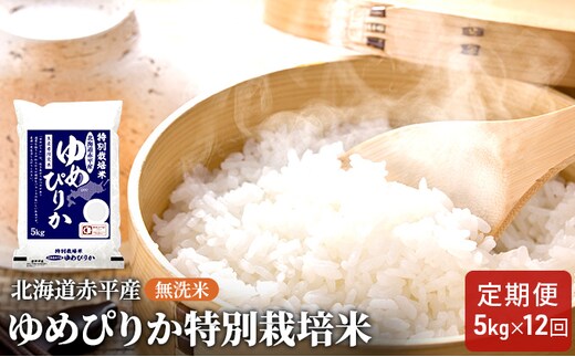 無洗米 北海道赤平産 ゆめぴりか 5kg 特別栽培米 【12回お届け】 米 北海道 定期便 ふるさと納税 お米 