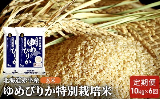 玄米 北海道赤平産 ゆめぴりか 10kg (5kg×2袋) 特別栽培米 【6回お届け】 米 北海道 定期便 ふるさと納税 お米 