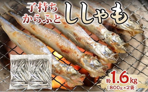 子持ちからふとししゃも 約1.6kg(800g×2) 樺太 魚シシャモ メス おつまみ 魚貝類 干物 量販店 居酒屋 馴染み 人気 卵 詰まった 塩 味付け 