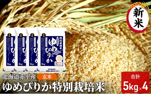 玄米 北海道赤平産 ゆめぴりか 20kg (5kg×4袋) 特別栽培米 米 北海道 お米 ふるさと納税