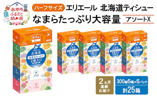 定期便 2ヵ月連続お届け エリエール ハーフサイズ 収納に便利 コンパクト 少量5パック [アソートX] 北海道ティシュー 300組 5箱×5パック 計25箱 なまらたっぷり 大容量 防災 常備品 備蓄品 消耗品 日用品