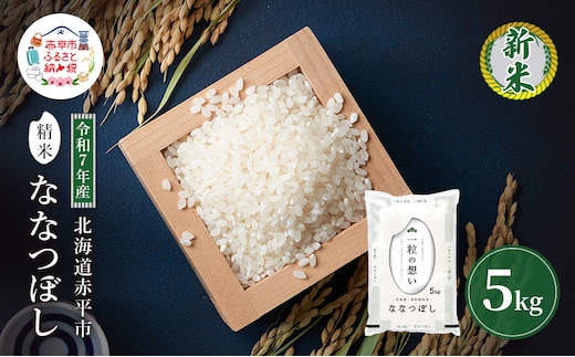 令和7年産 北海道 赤平産 ななつぼし 5kg 白米 精米 米 北海道 ごはん ご飯 ライス おにぎり
