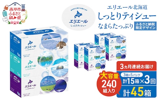 【定期便 3ヵ月連続お届け】 エリエール ハーフサイズ 収納に便利 コンパクト 少量5パック 北海道 しっとりティシュー なまらたっぷり 240組3箱 5パック 計15箱 ボックスティシュー ふるさと納税限定デザイン