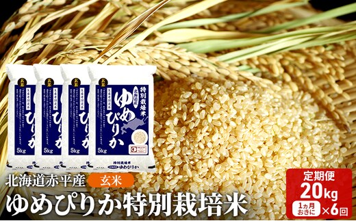 玄米 北海道赤平産 ゆめぴりか 20kg (5kg×4袋) 特別栽培米 【1ヵ月おきに6回お届け】 米 北海道 定期便 ふるさと納税