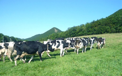 20-85 牧場体験 ミルクジャムセット付