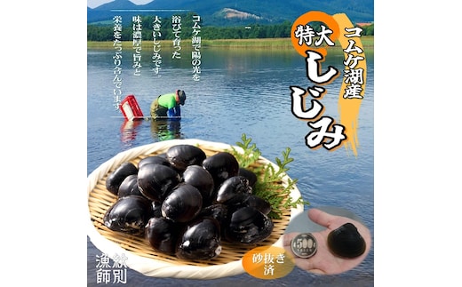 19-42 【年内発送12月15日入金まで】【紋別市コムケ湖産】 手獲り特大しじみ 600g within2025