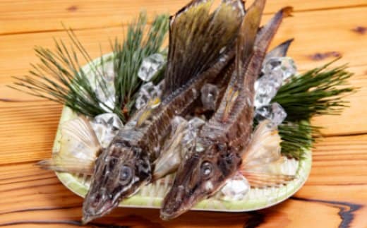 12-186 【年内発送12月15日入金まで】オホーツク八角丸干し1kg within2025