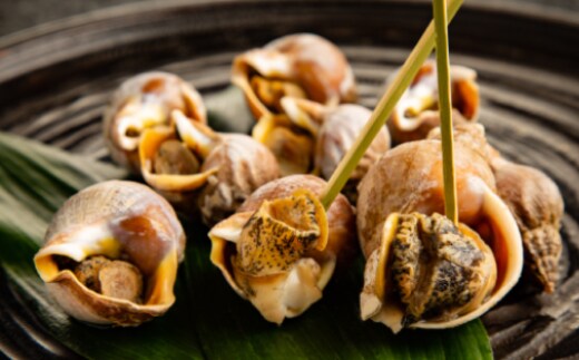 10-536 【年内発送12月15日入金まで】エゾばい貝(磯ツブ)『醤油煮』900g（300g×3） within2025