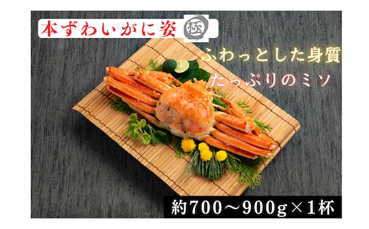 13-359 【年内配送12月15日入金まで】本ずわいがに姿 大型サイズ1杯 within2025