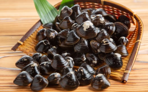 21-48 【年内発送12月15日入金まで】冷凍砂出ししじみドーンと2.5kgセット within2025