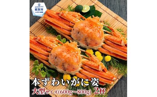 22-153 本ずわいがに姿 大型サイズ2杯 約600～800g