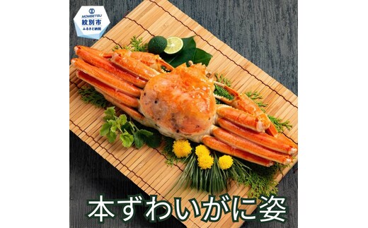 19-107 本ずわいがに姿 大型サイズ2杯 約600～800g
