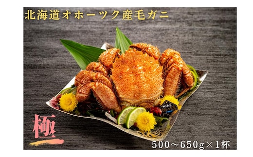 18-160 【年内発送12月15日入金まで】北海道産毛ガニ 500～650g×1杯 within2025