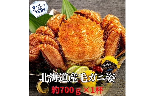 16-191 北海道産毛ガニ 約700g×1杯